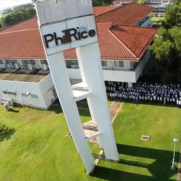 Aerial shot of PhilRice flag ceremony
