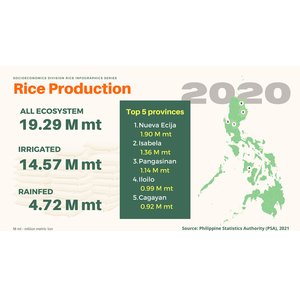 Socioeconomics Division Rice Infographics Series - 002 - Rice Production (2020) preview