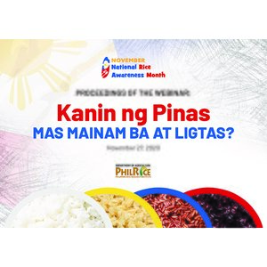 Proceedings of the Webinar: Kanin ng Pinas, Mas Mainam ba at Ligtas? preview