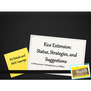 Rice Extension: Status, Strategies, and Suggestions, RBFHS 2011 preview