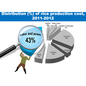 By hand or machine: 2011 & 2012 Labor & power use in rice production, RBFHS 2011-2012 preview