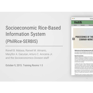 Socioeconomic Rice-Based Information System (PhilRIce-SERBIS) preview